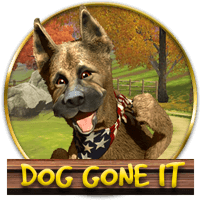 Dog Gone It