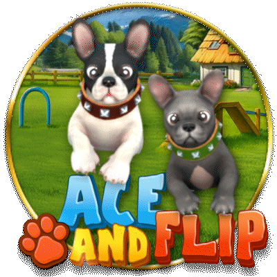 Ace and Flip