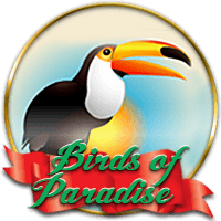 Birds of Paradise
