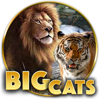 Big Cats