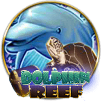 Dolphin Reef
