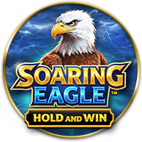 Soaring Eagle
